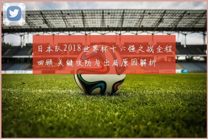 日本队2018世界杯十六强之战全程回顾 关键攻防与出局原因解析