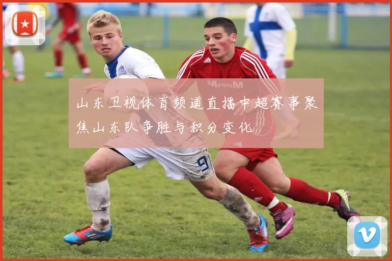 山东卫视体育频道直播中超赛事聚焦山东队争胜与积分变化