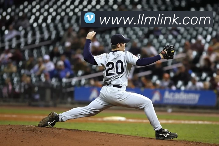 博亚app官网登录入口 - 博亚(中国)发展历程